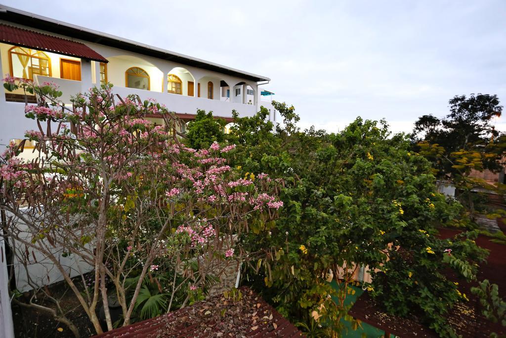 The Galapagos Pearl B&B Puerto Ayora  Exterior photo